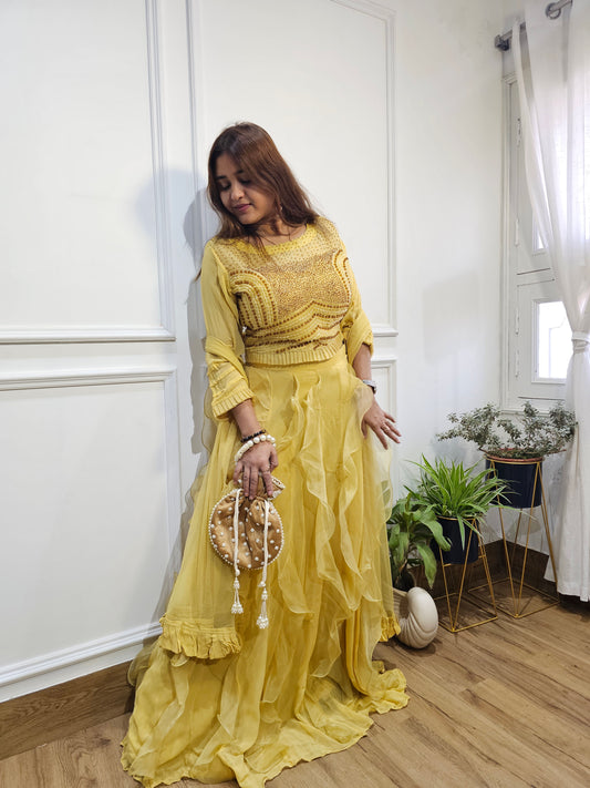 Jeenas organza skirt set
