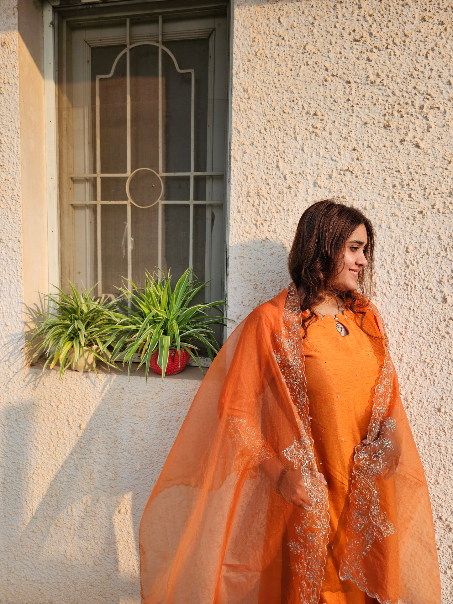Jeenas zari suit set