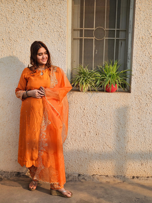 Jeenas zari suit set