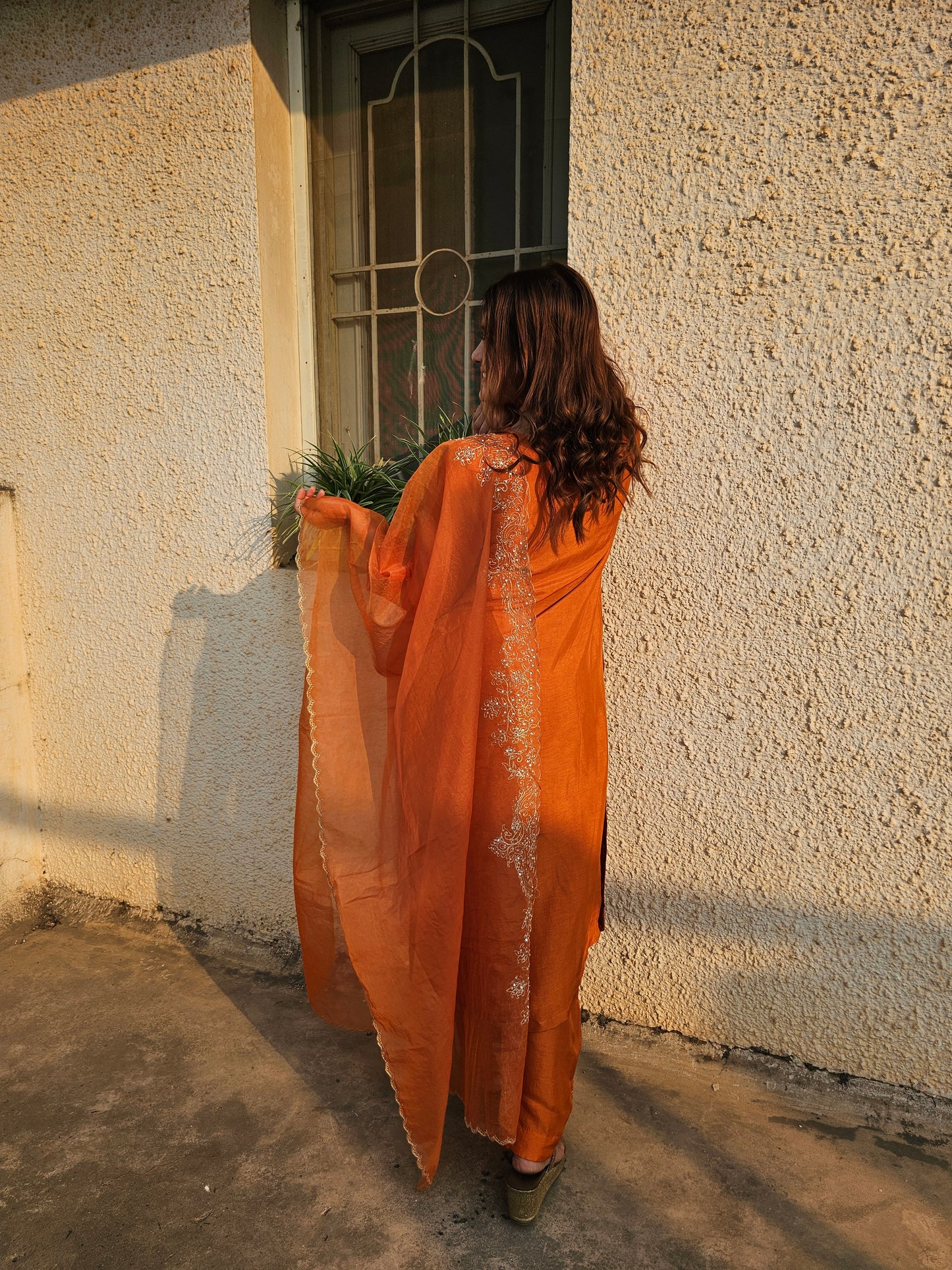 Jeenas zari suit set